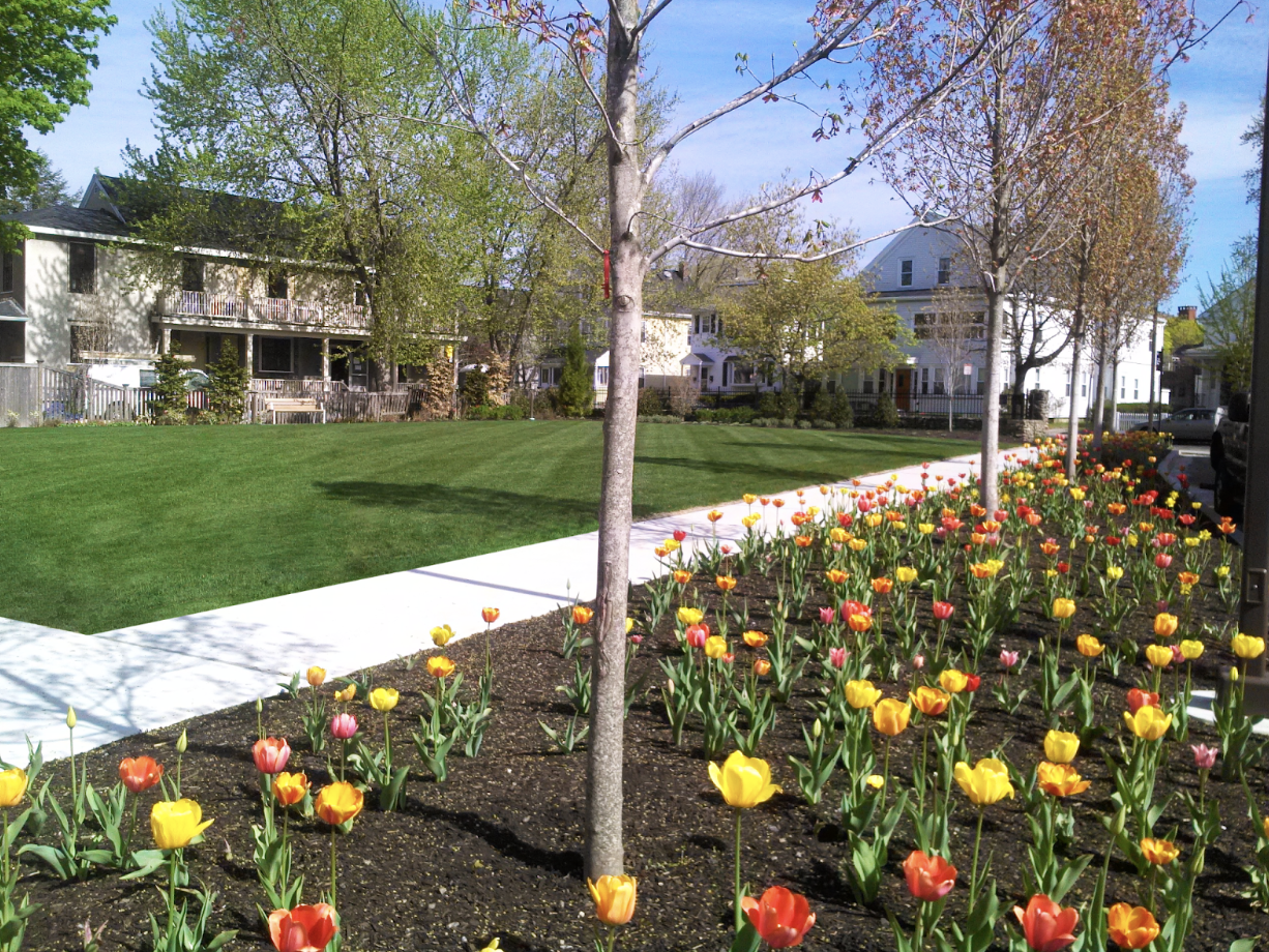 landscape design with mulch in Massachusetts.