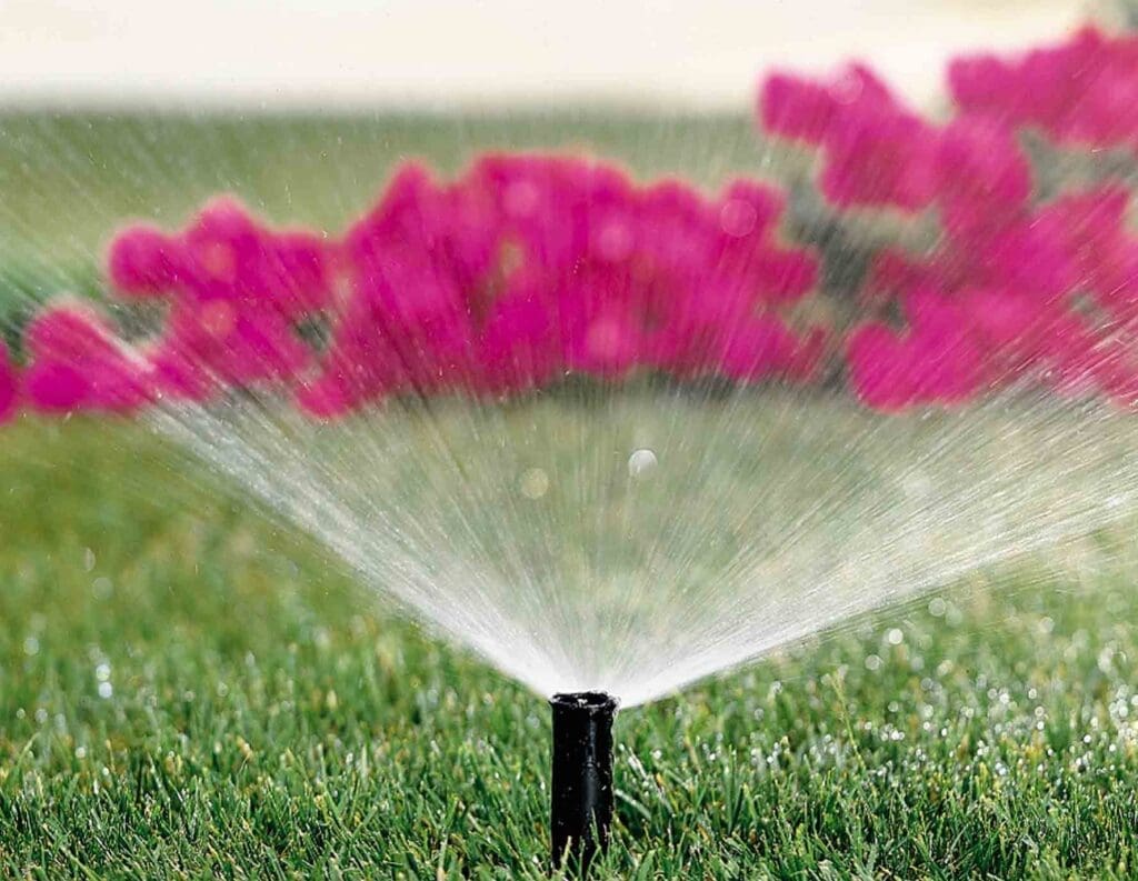 irrigation installation with green grass and pink flowers in Massachusetts