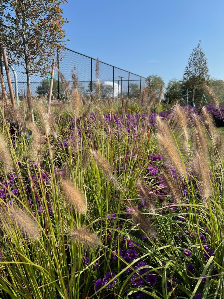 Commercial landscaping project in Lynn, MA by Leahy Landscaping, Inc.